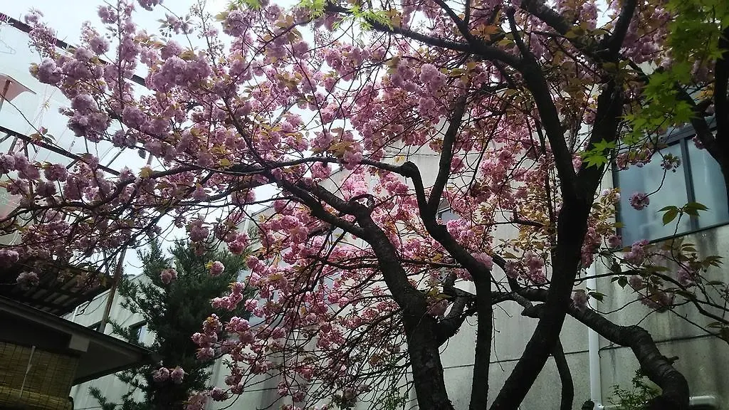 ゲストハウス京都　蚕ノ社 2*, 京都市